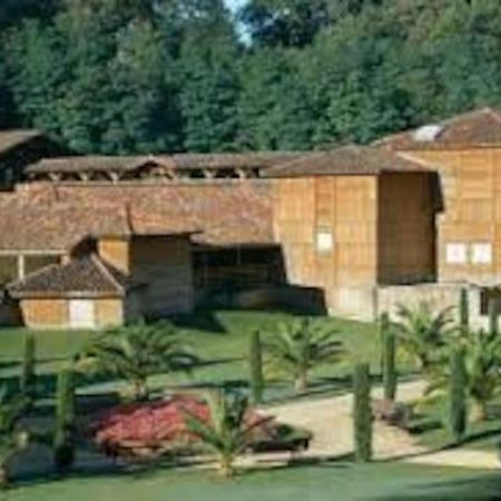 Maison Avec Piscine Proche Des Thermes Mauleon-D'armagnac 외부 사진